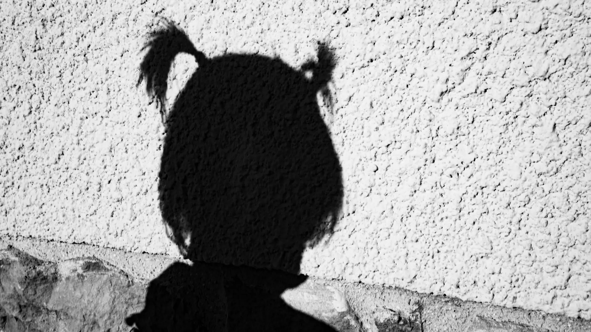 SaraBazzucchi-ombra
